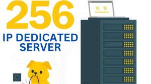 Read more about the article 10 Reasons to Choose a Dedicated Server with 256 IPs