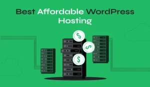 Read more about the article Creating Trustworthy Online Success with Budget-Friendly Affordable Hosting in India
